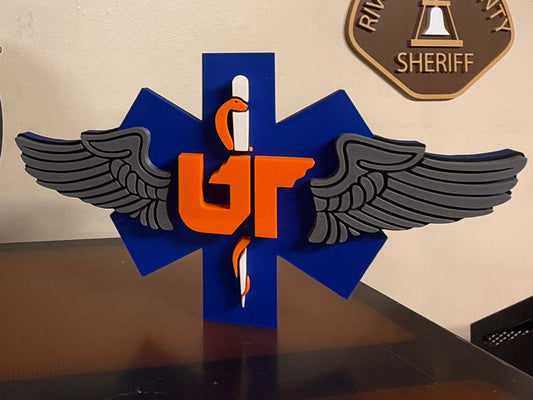 UT LifeStar Aeromedical Wings